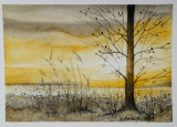 Coucher de soleil